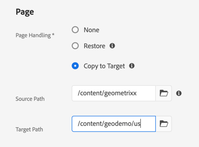 Page Handling Copy Selected