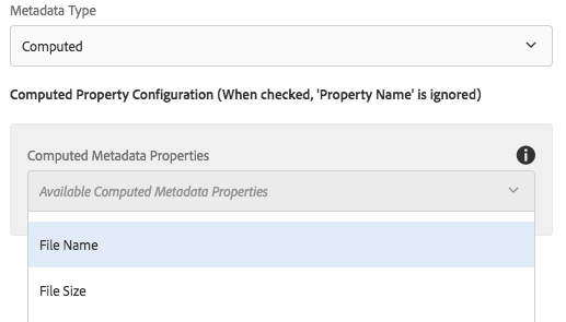 Computed Property Metadata Type - Dialog
